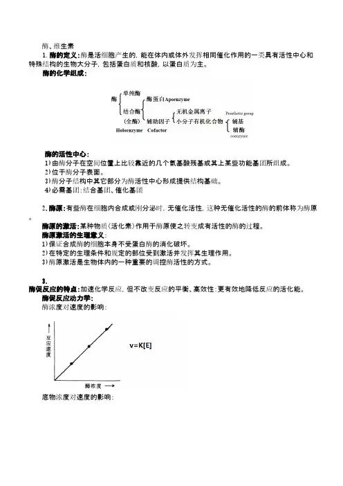 生物化学-知识点_1酶、维生素整理