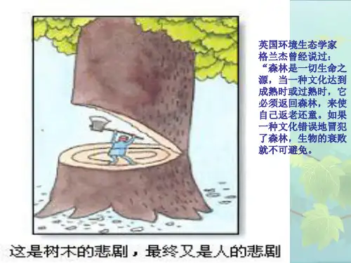 人教版高中地理必修三第二章第二节《森林的开发和保护——以亚马孙热带雨林为例》课件(共31张PPT)