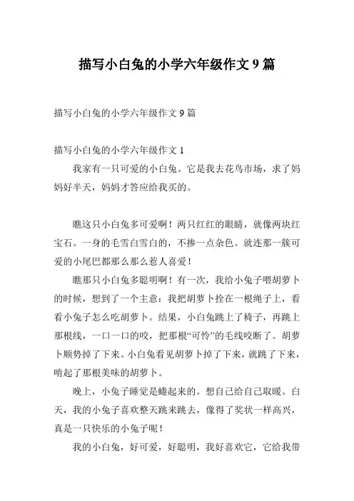 描写小白兔的小学六年级作文9篇
