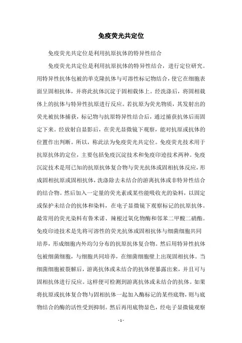 免疫荧光共定位