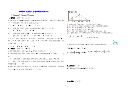 (完整)2019年小升初数学专题试卷库及答案总复习