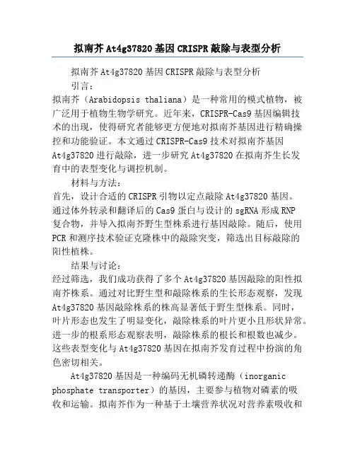 拟南芥At4g37820基因CRISPR敲除与表型分析