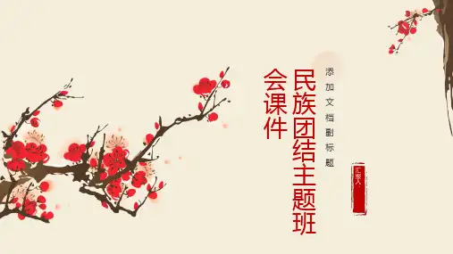 中小学《民族团结》主题班会课件ppt