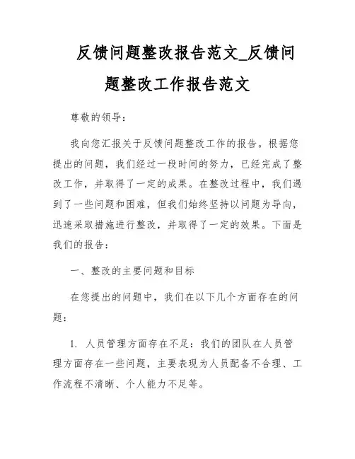 反馈问题整改报告范文_反馈问题整改工作报告范文