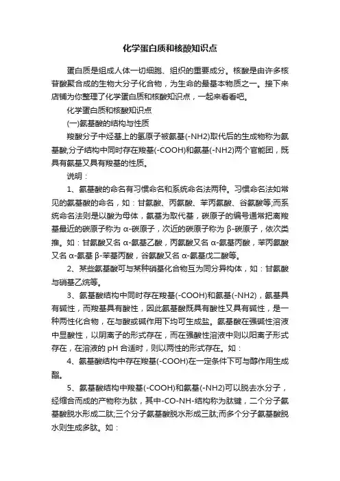化学蛋白质和核酸知识点