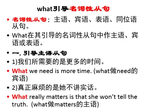 what引导的名词性从句