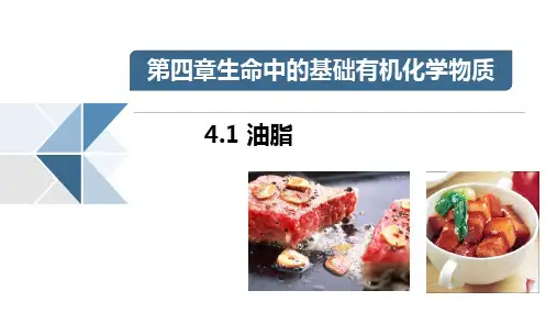 人教版《油脂》精品PPT下载1