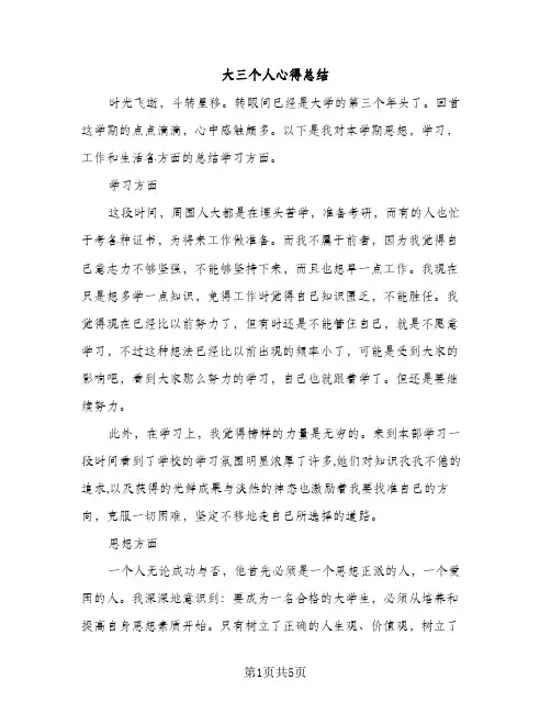 大三个人心得总结（2篇）