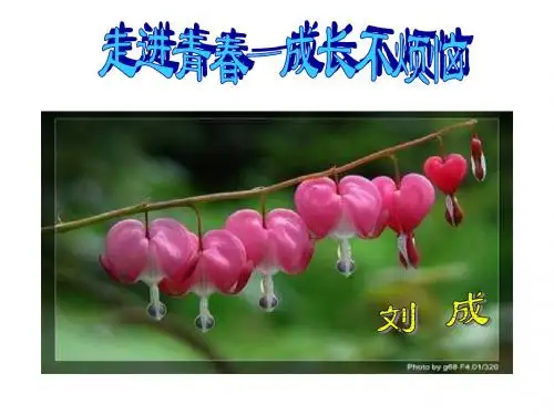 七年级政治成长不烦恼(新编教材)