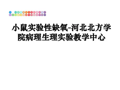 最新小鼠实验性缺氧-河北北方学院病理生理实验教学中心课件ppt