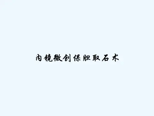 内镜微创保胆取石术-PPT