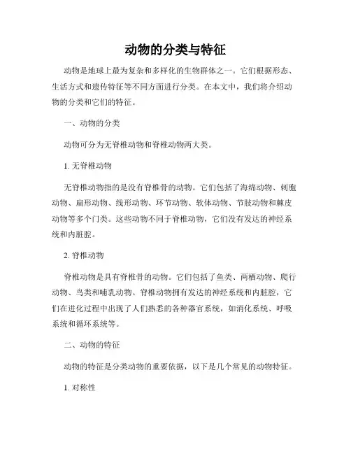 动物的分类与特征