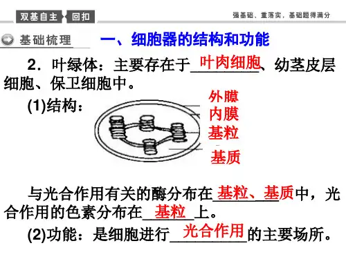 一轮复习细胞器及生物膜系统