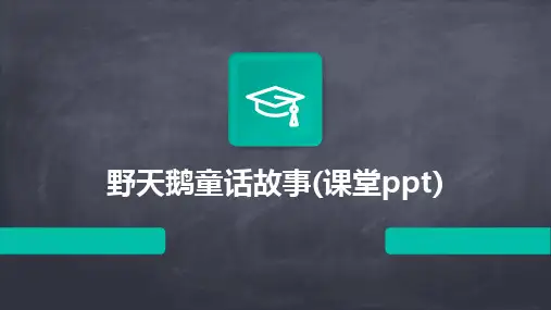 野天鹅童话故事(课堂ppt)