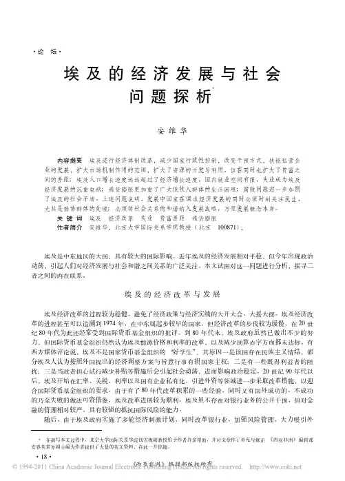 埃及的经济发展与社会问题探析
