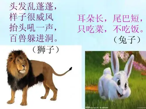 北师大版语文二下《狮子和兔子》优质公开课课件