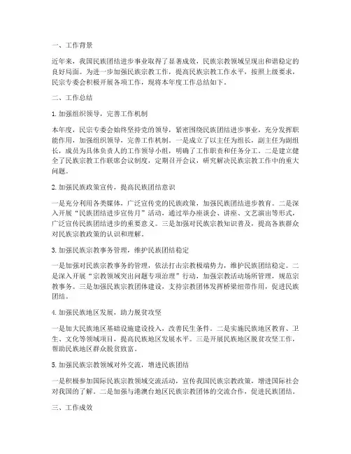 民宗专委会工作总结报告