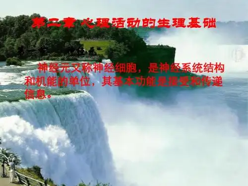 第二章心理活动的生理基础