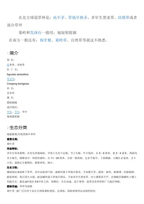 高尔夫球场草坪