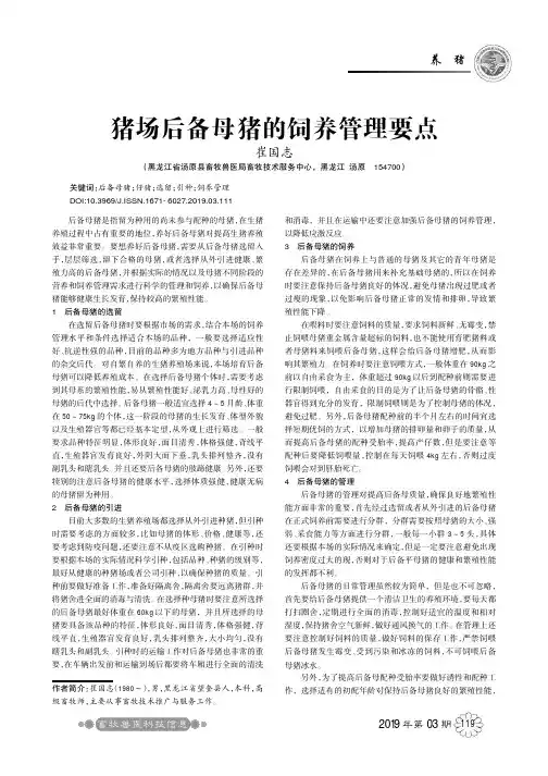 猪场后备母猪的饲养管理要点