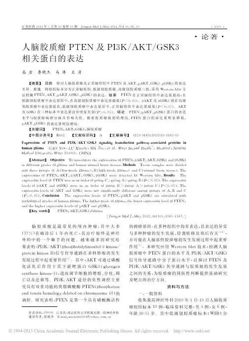 人脑胶质瘤PTEN及PI3K_AKT_GSK3相关蛋白的表达