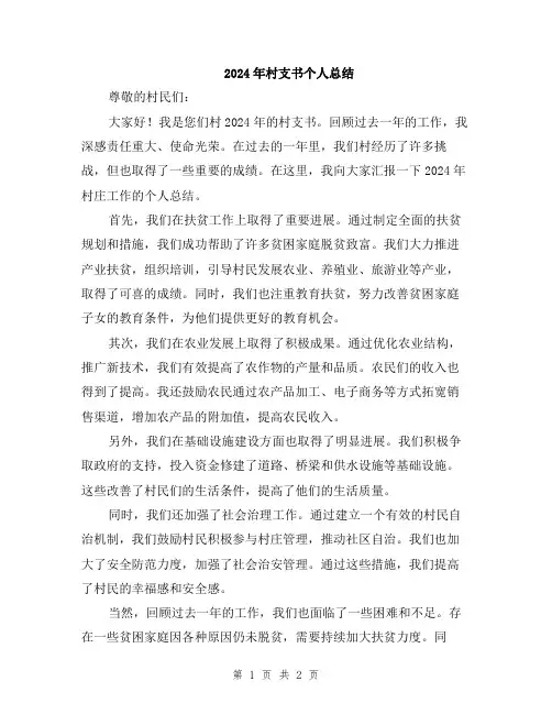 2024年村支书个人总结