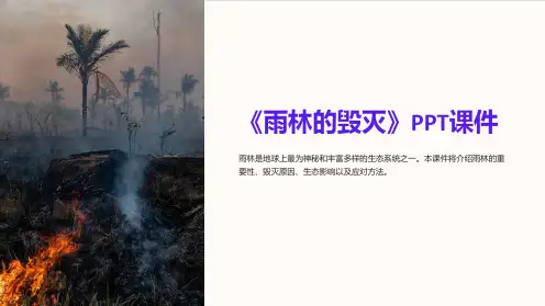 《雨林的毁灭》课件