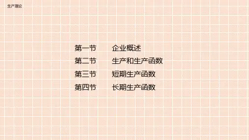 经济学基础-生产理论