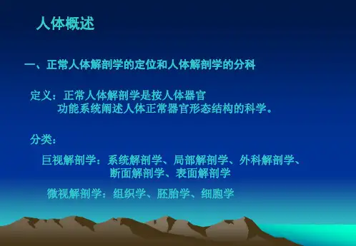 正常人体解剖学的定位和人体解剖学的分科