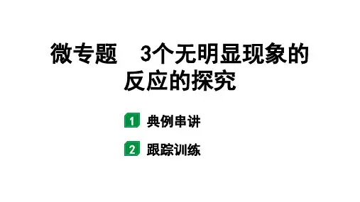 2024甘肃中考化学一轮复习 微专题 3个无明显现象的反应的探究(课件)