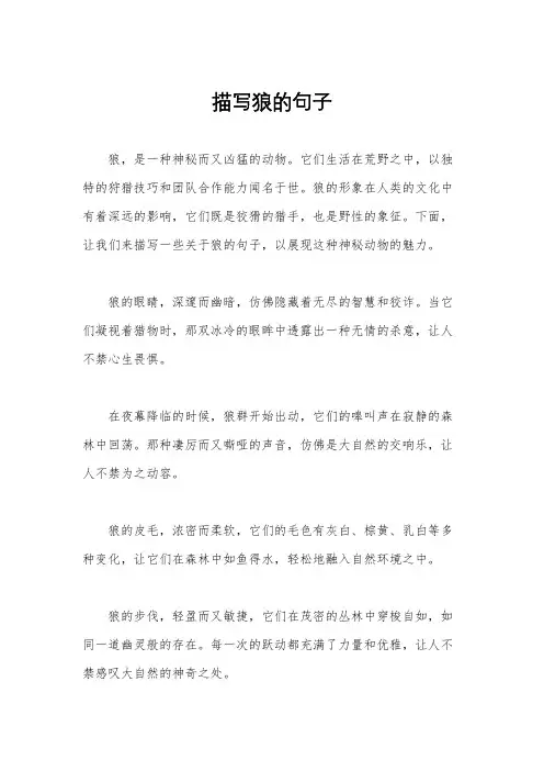 描写狼的句子