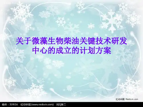 关于微藻的ppt