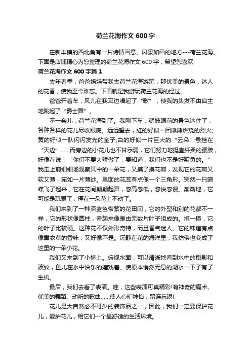 荷兰花海作文600字