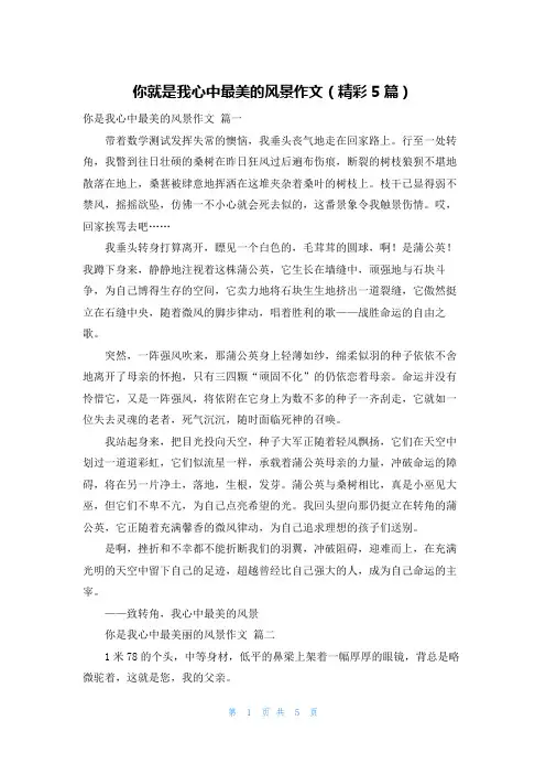 你就是我心中最美的风景作文(精彩5篇)