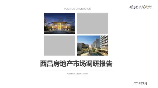 西昌房地产市场调研报告8.10