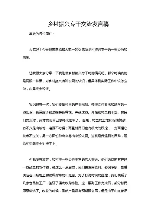 乡村振兴专干交流发言稿
