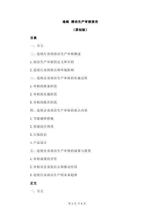 造纸 清洁生产审核报告