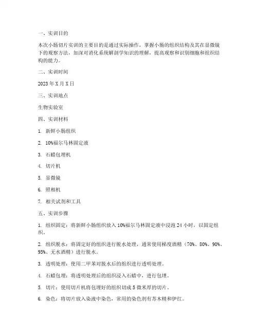 小肠切片实训报告