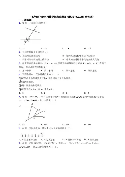 七年级下册永州数学期末试卷复习练习(Word版 含答案)