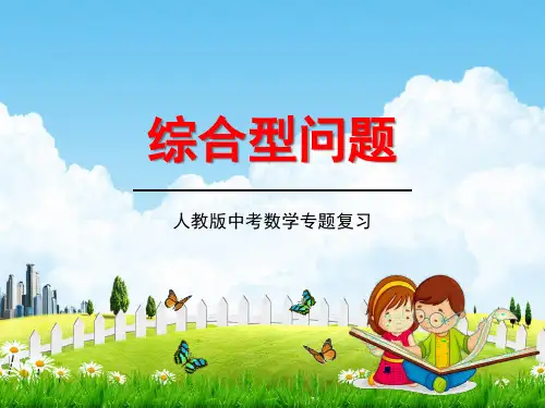 人教版中考数学专题总复习《综合型问题》练习题及答案精品教学课件PPT