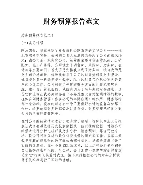 财务预算报告范文