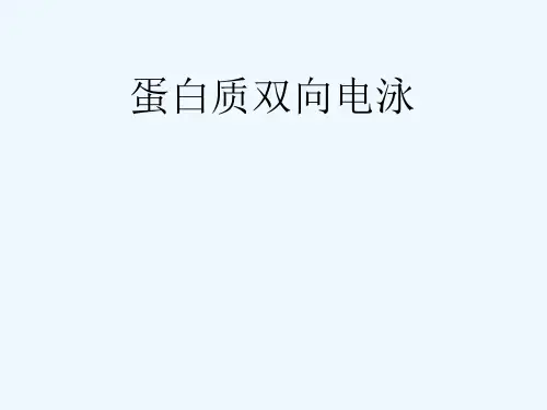 蛋白质双向电泳简介
