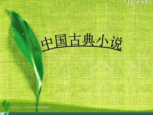 中国古典小说