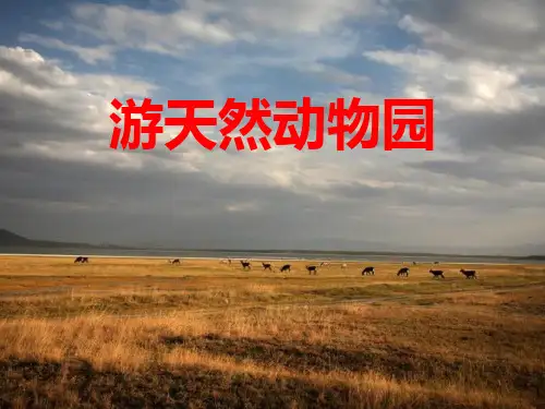 游天然动物园-PPT全文课件