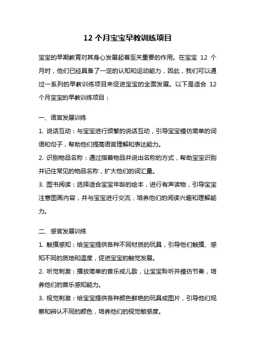 12个月宝宝早教训练项目