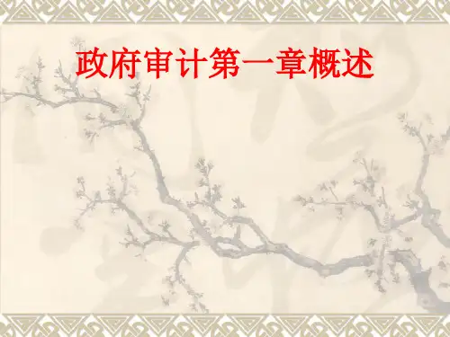 [课件]政府审计第一章概述PPT