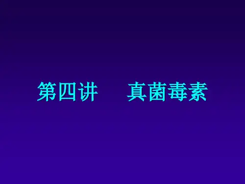第四讲_毒蘑菇
