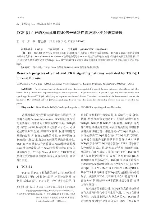 TGF-β1介导的Smad和ERK信号通路在肾纤维化中的研究进展
