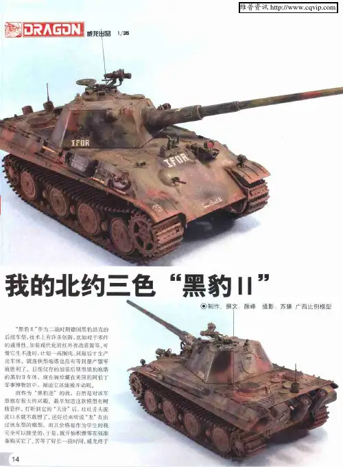 我的北约三色“黑豹Ⅱ”