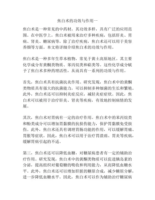焦白术的功效与作用一